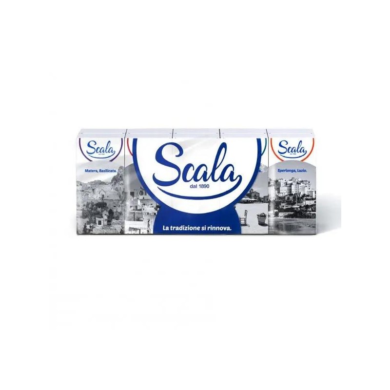 SCALA FAZZOLETTI 4 VELI 10 PZ
